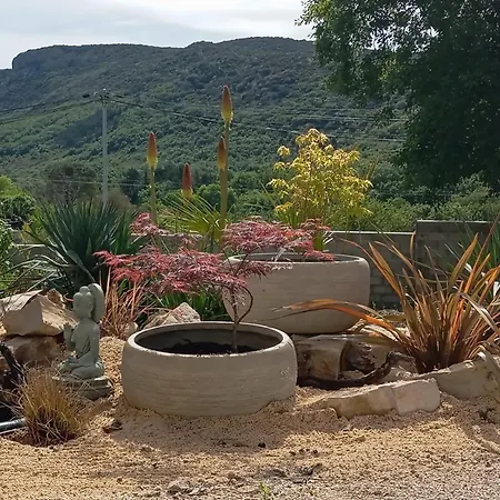 La Guitoune - Clim, Parking Et Terrasses Privees, Entrees Independantes, Laroque (Herault)