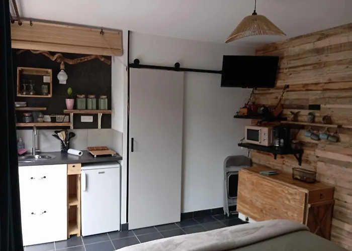 La Guitoune - Ou Studio, Clim, Parking, Sdb Terrasses Et Entrees Privatives,